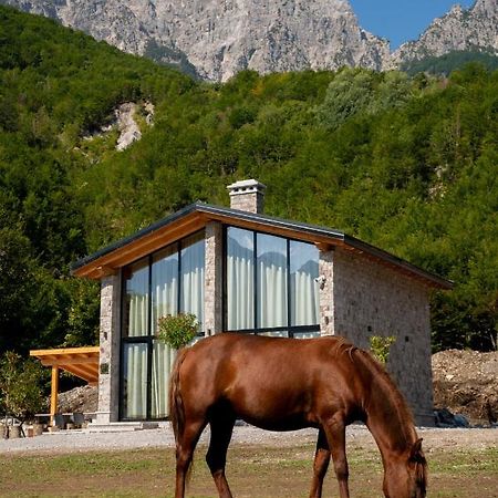 Villa Ujevara E Vogel Theth Kültér fotó