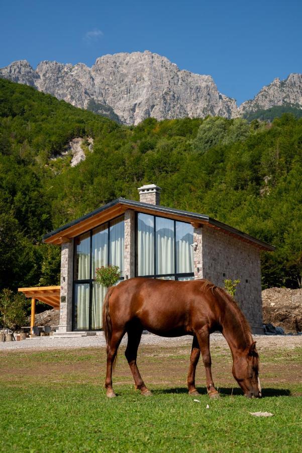Villa Ujevara E Vogel Theth Kültér fotó